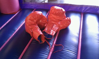 Inflatable Boxing Arena Renal Cleveland TN